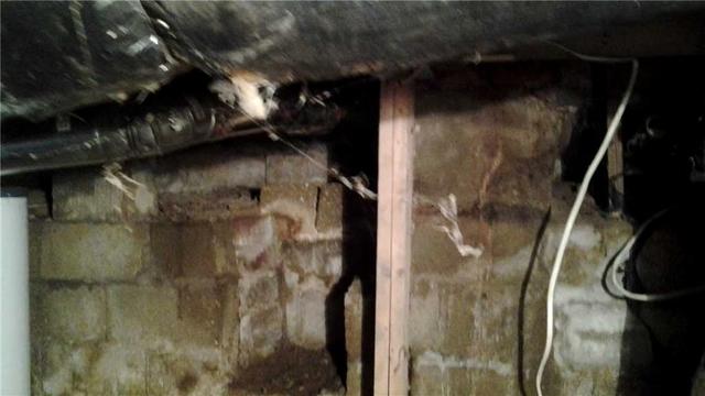 Damp & Musty Crawl Space