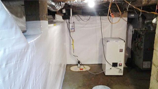 TripleSafe Basement Sump Pump