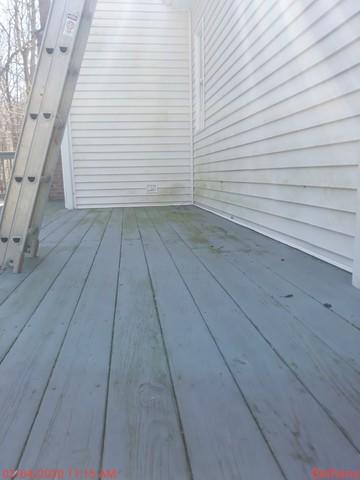 Deck Algae and Pollen