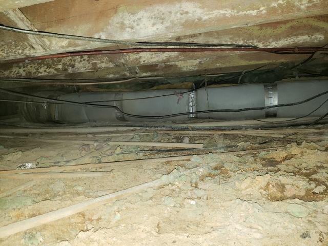 Mold and Mildew Growth on Crawl Space Joists