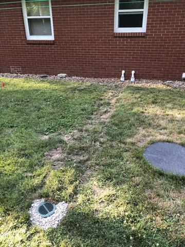 IceGuard Discharge Line System