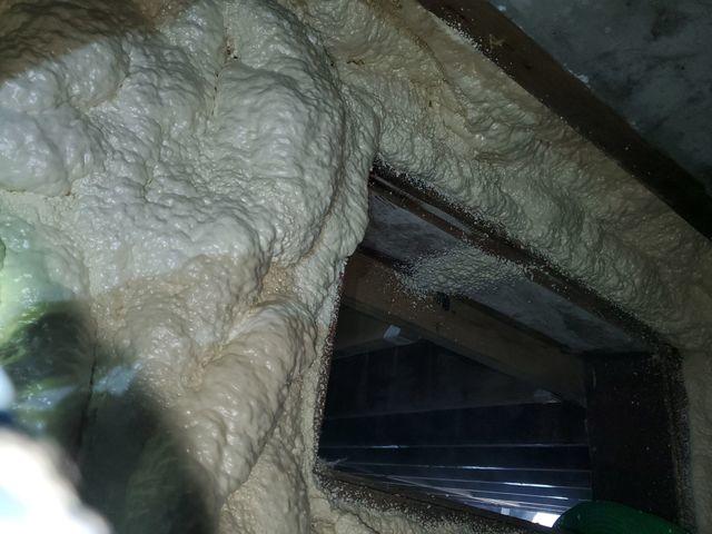 Spray Foam Around Crawl Space Entrance