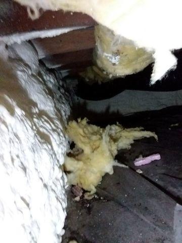 Spray Foam and Ceiling Joists