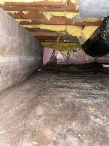 Before Photo of Crawl Space