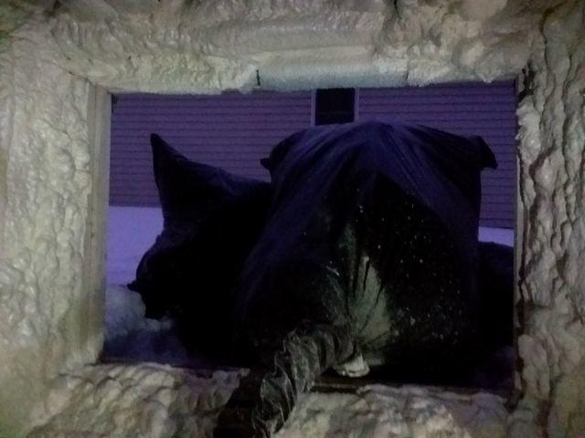 Spray Foam Protects Crawl Space