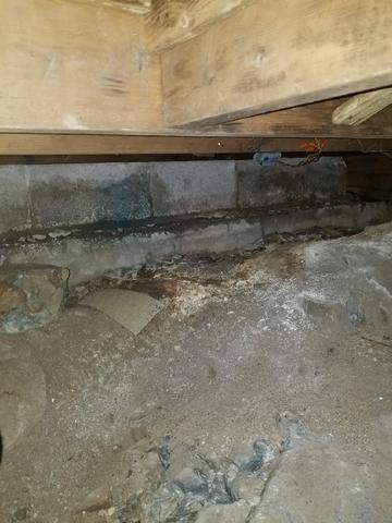 Mold and Water Damage