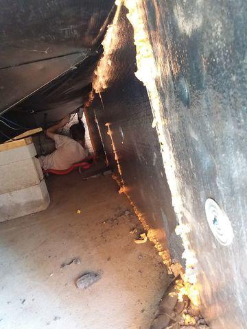 SilverGlo™ On All Walls