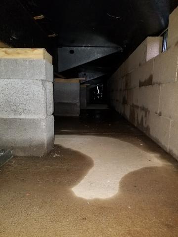 Unfinished Crawl Space In Need Of Weatherproofing