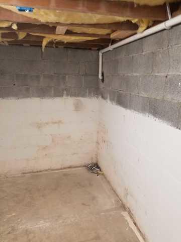 Leaky Basement Wall
