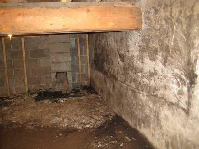 Alternative Before Photo Showing Water Damage