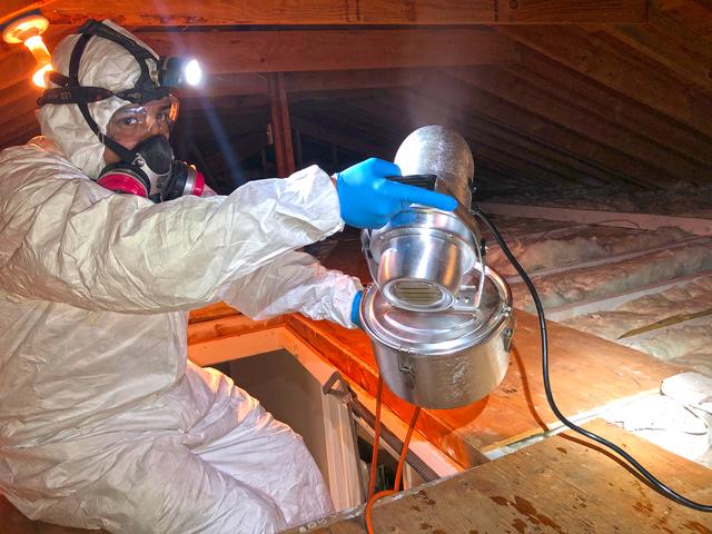 We inspected the attic and found mold growth on the rafters. The homeowner fixed the leak in his attic, but unfortunately mold had developed. To remedy this, we applied our EPA-registered antimicrobial solution called Mold Abatement Polymer Solutions (MAPS 1 for short). This solution targets mold at a cellular level and kills it instantly.