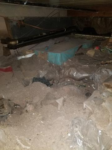 Nasty Crawl Space Before Photo