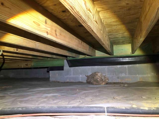Mold Treated & Insulation Removed