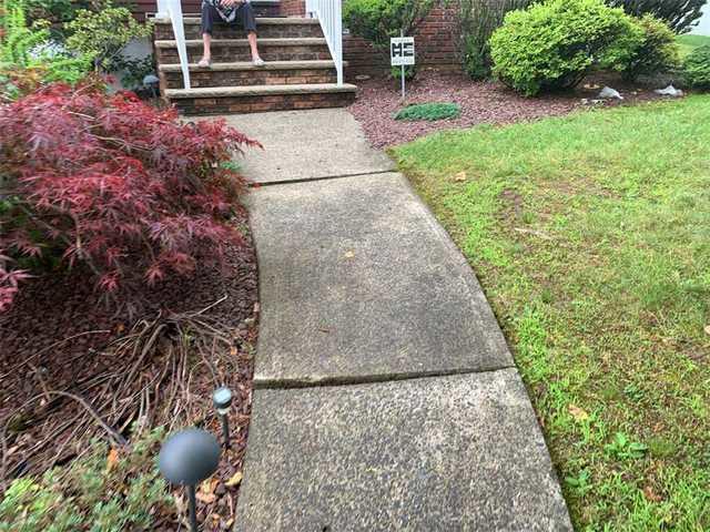 Before Front Walk Way