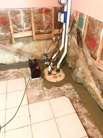 TripleSafe Sump Pump