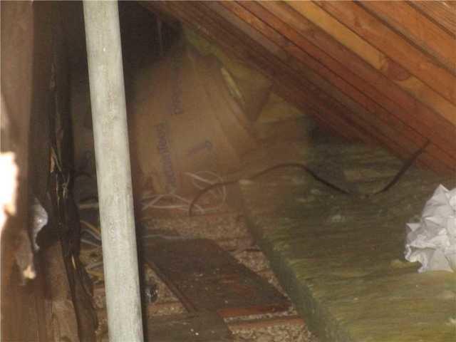 Before Photo Old Insulation