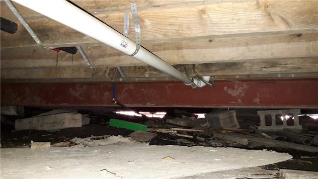 Mold Development Before Photo