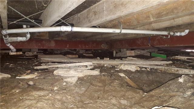 Damp And Dingy Crawl Space