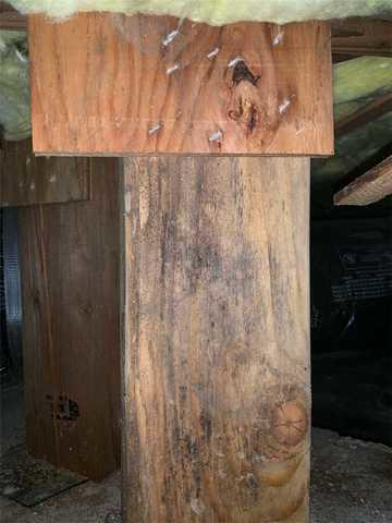 Mold sinking into foundation post