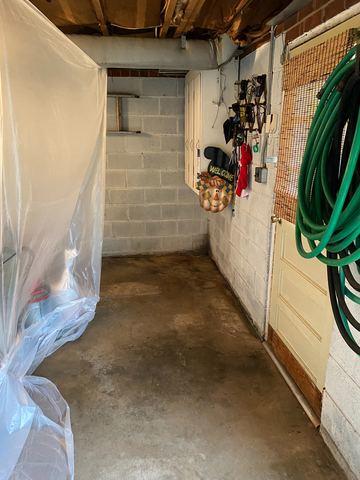 Moldy Corner and Doorway