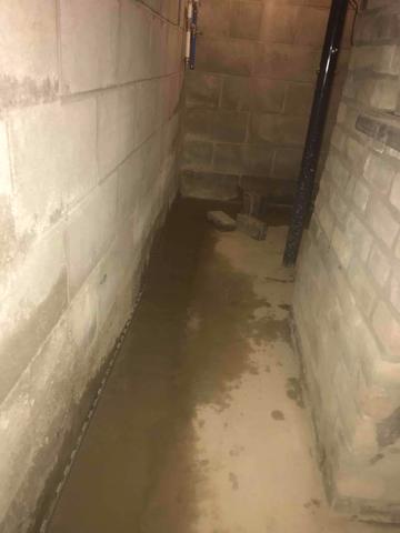 WaterGuard French Drain