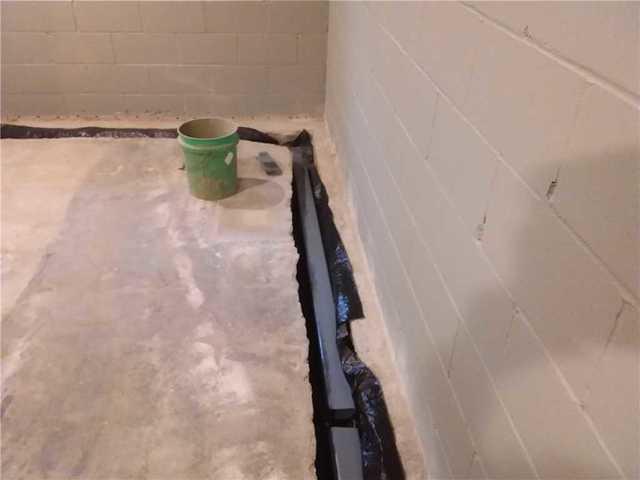 Installing WaterGuard in Cassie's Basement