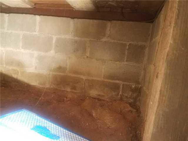 Signs of Mold on the Foundation