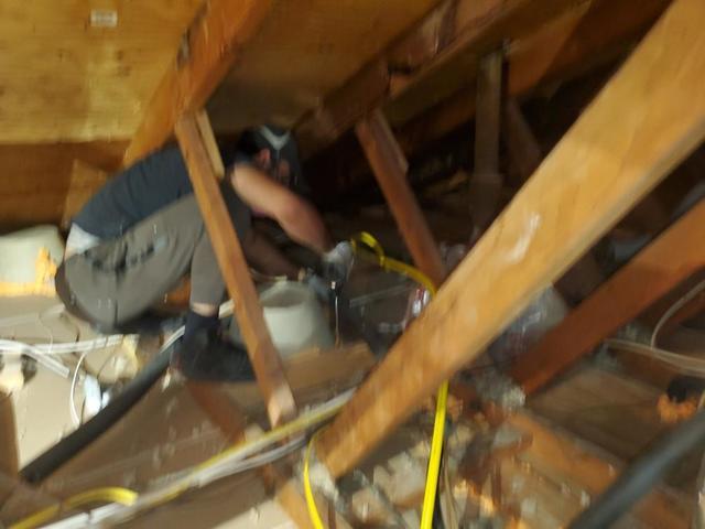 Unfinished Attic Space