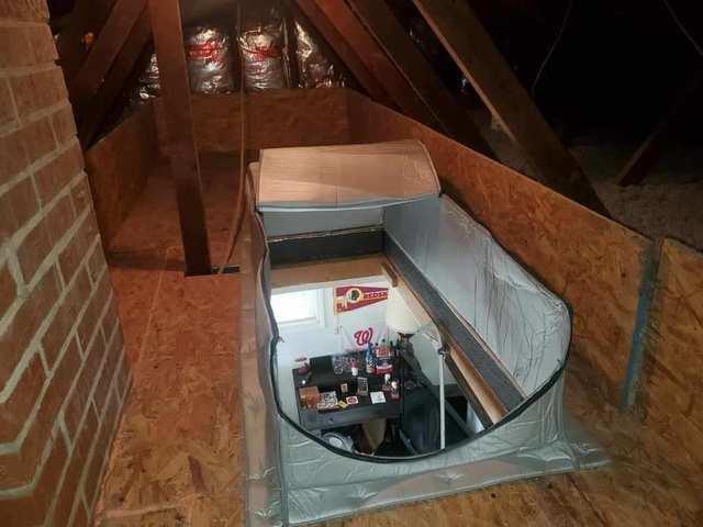 Finished Attic