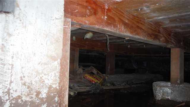 Water creating mold in the crawlspace