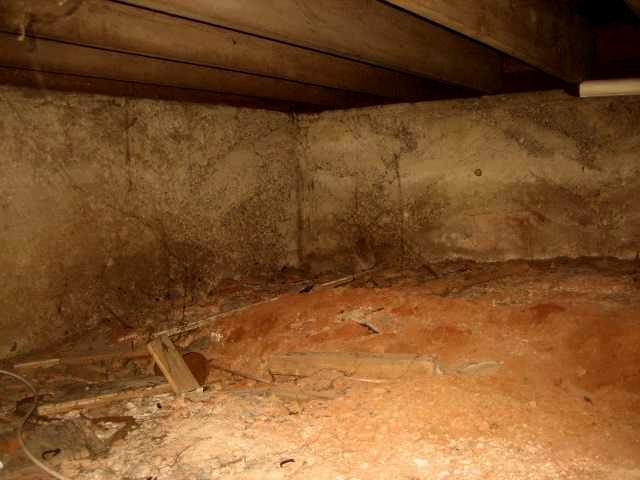 Nasty Crawl Space Before