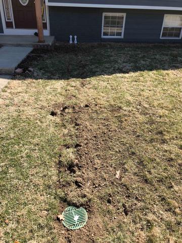 Discharge Line System