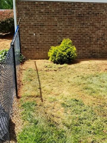 Backyard Landscaping After Back Filling