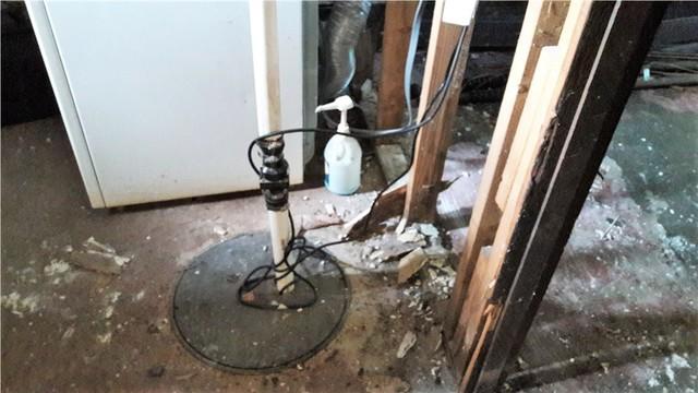Old Sump Pump