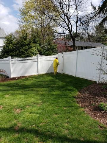 Fence Power Washing