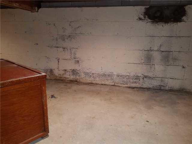 Signs of Mold and Moisture