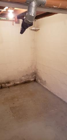 Before Photo Showing Mold And Water Damage In Duluth, MN