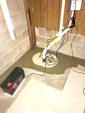 TripleSafe Sump Pump