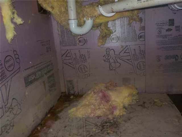 Water Damage Causing Insulation to Fall in Crawl Space