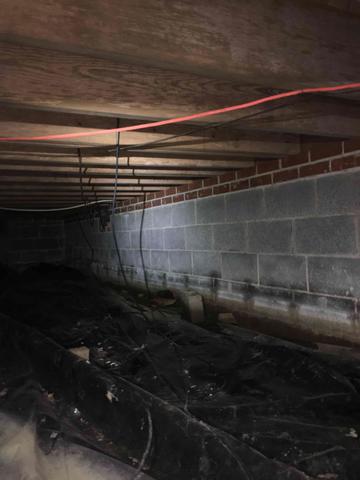 From this photo it is easy to see that mold has been growing freely on the wood and that water has been getting into the crawl space around the block wall.