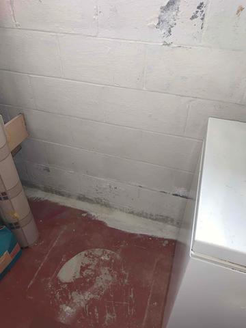 Peeling and Chipping Paint