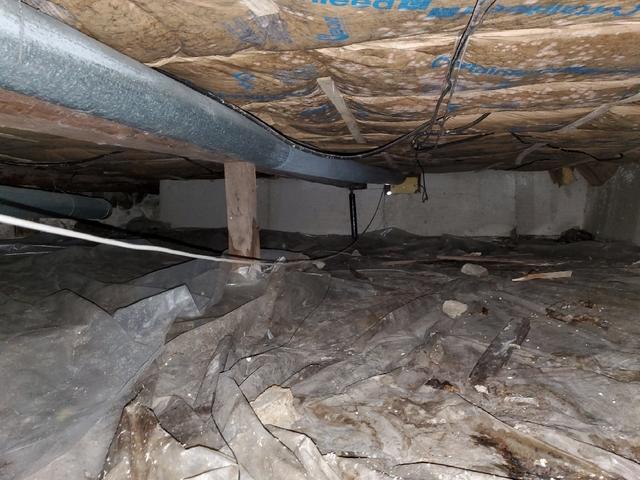 Before Photo Moldy Crawl Space in Deer River, Minnesota