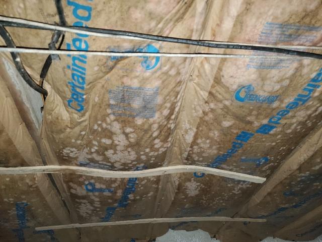 Moldy Crawl Space and Home Odors