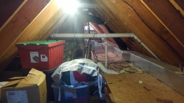 Attic Storage