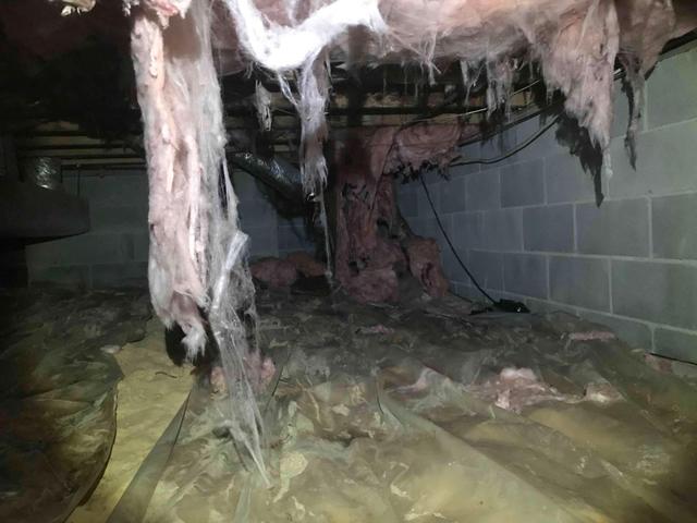 Damaged Insulation