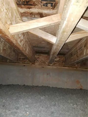 No Insulation in this Crawl Space