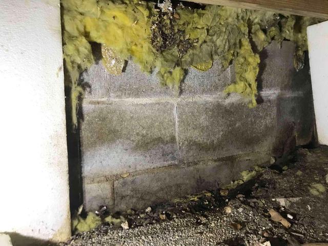 Crawl Space Insulation Removal