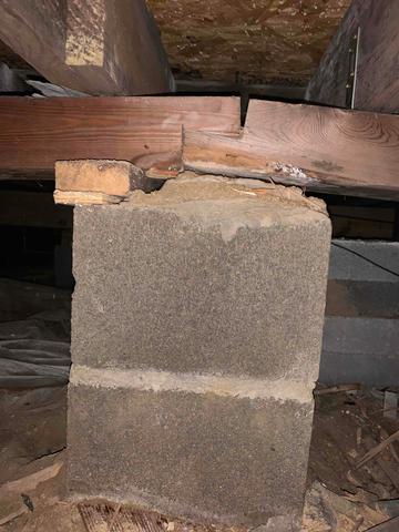 The beam in this crawl space has a block wedged under it to shim it up as the foundation settled over the years. The stress from the weight of the house on this beam has caused it to begin to split.