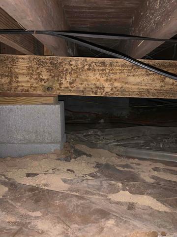 Mold and Mildew are growing on the beams and joists in the crawl space. This tells us that there is high relative humidity and as wood moisture content increases, wood rot occurs, and the beams become fragile.