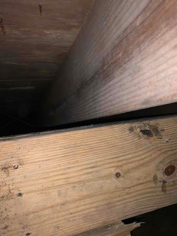 As the foundation settled, the beam in this crawl space went with it leaving a gap between the joist and the beam supporting it.